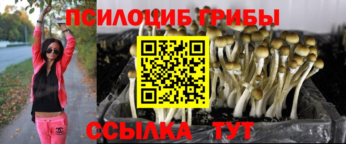 Галлюциногенные грибы мухоморы Кунгур