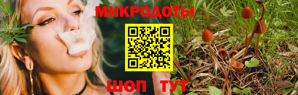 Кунгур  Галлюциногенные грибы MAGIC MUSHROOMS  Галлюциногенные грибы ЛСД  купить наркотики сайты  Вход с VPN 